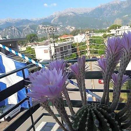Hellas Palace Private *